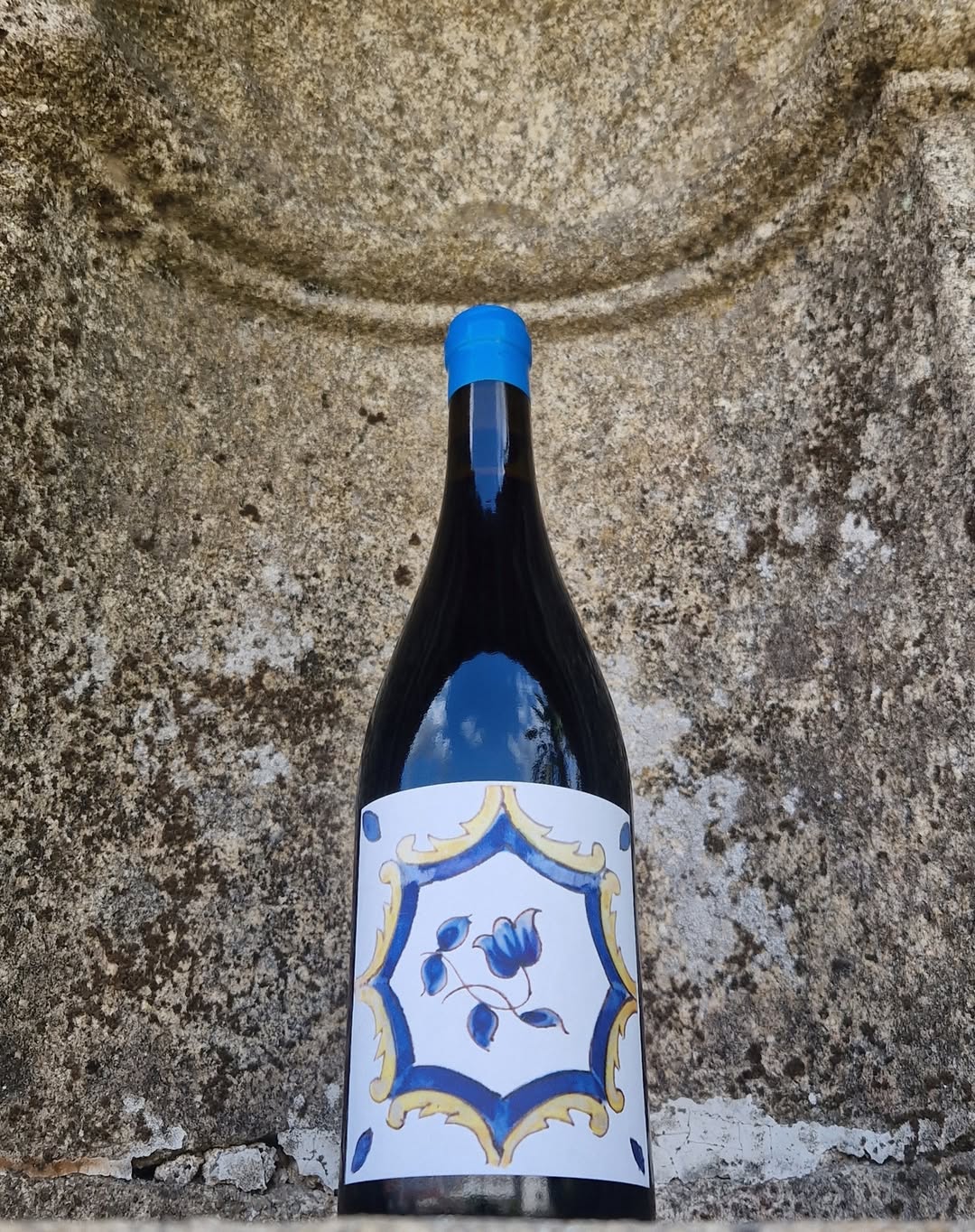 Vizinho Vinhateiro Lagar