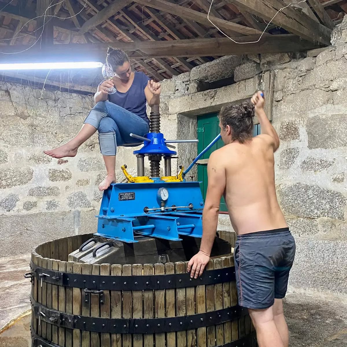 Vizinho Vinhateiro